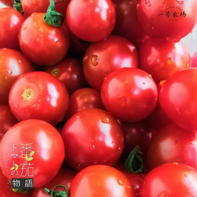 夏天有什么水果会成熟 ba82663867b041d78c7d82b50bac3401.jpeg