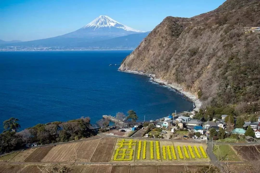 位于静冈县东部的伊豆半岛及东京都的伊豆诸岛,是日本的旅游胜地.