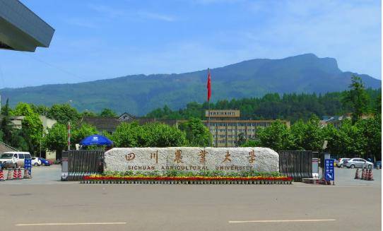 四川农业大学排名(3)