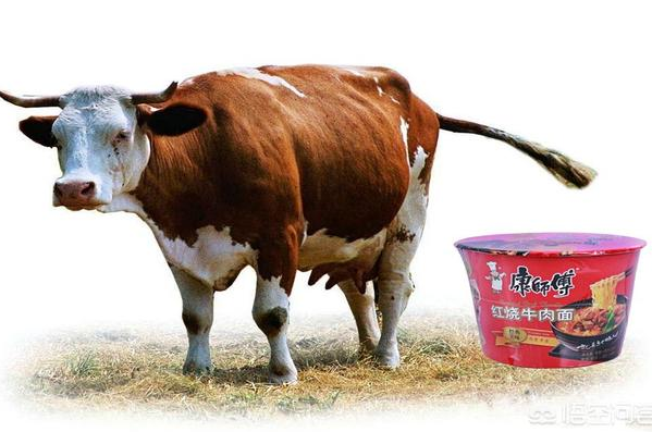 加工牛肉包 c6cc9ca874c744f0bfd5ee7764a9f9d1.png