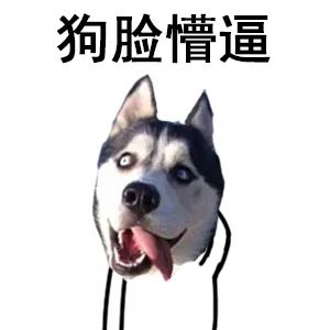 成语什么犬相_成语故事简笔画