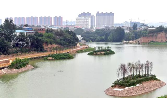 洛阳市区又添一个美景湖亲水栈道野鸭嬉戏是亮点