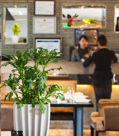 盆栽花卉店铺 cceb3206758248d3a76ff20e5edbc573.png