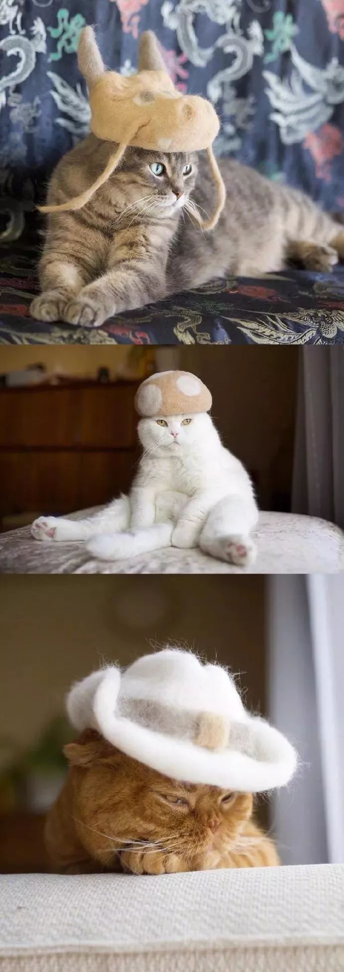 用猫咪掉下来的毛做成了帽子