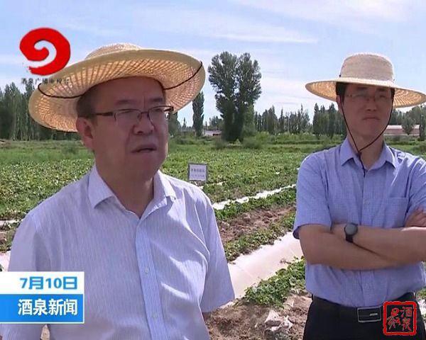 吴仰东在敦煌调研农业农村工作