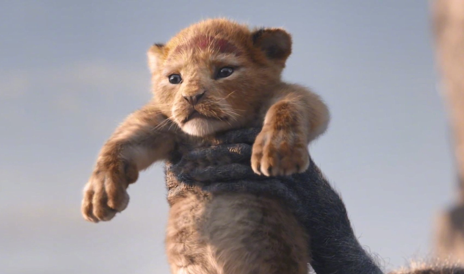 除了迪士尼的真人版《狮子王》,这周电影真的