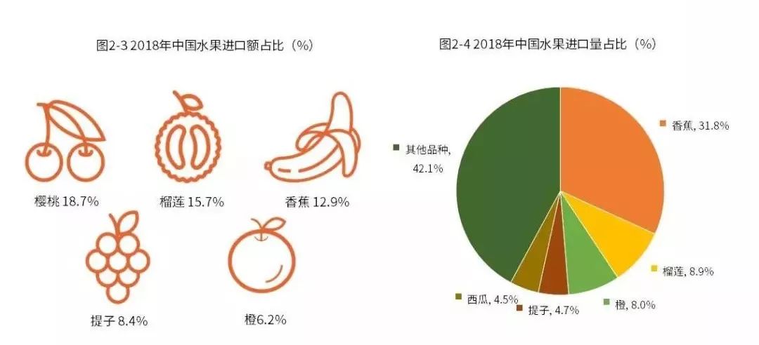 2019中国水果市场运行大数据与投资分析报告