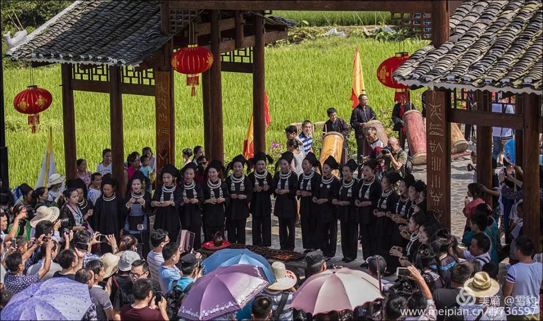 全国水族人口有多少_世界上有多少人口