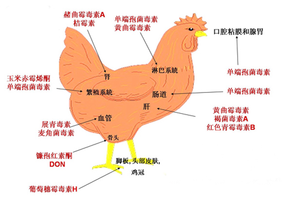 新强有多少人口_北流隆盛镇有多少人口