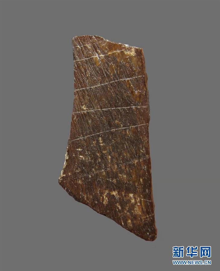 “许昌人”遗址发现已知最古老的人工刻划图案距今约11万年
