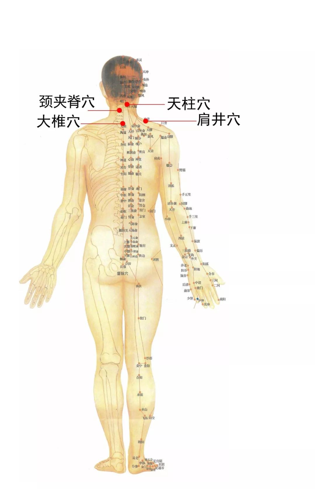 天才百穴灸:颈椎病艾灸穴位组合 颈椎不适调理