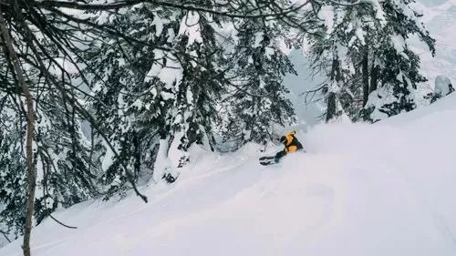 Arbor 倾力打造Annex 2019,科技创新从未停止