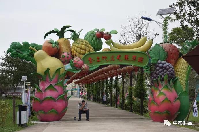 开云体育 开云官网我看了10000个休闲农业项目总结了6点分享给你(图2)