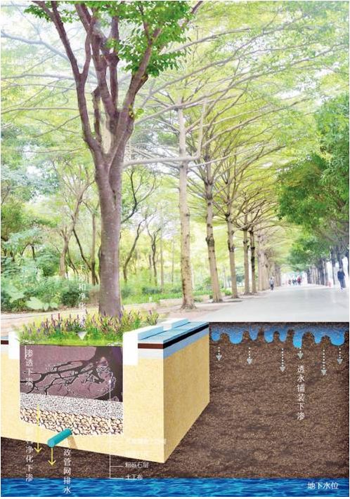 雨水收集设计新颖 f9f16c2036684dfdb279e09aeb81f606.jpeg