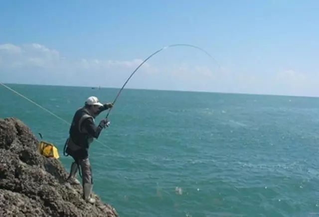 海钓论坛丨【去海钓】浅谈海岸礁石钓黑黄鱼的技巧