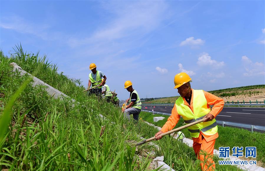 高温下的筑路工人