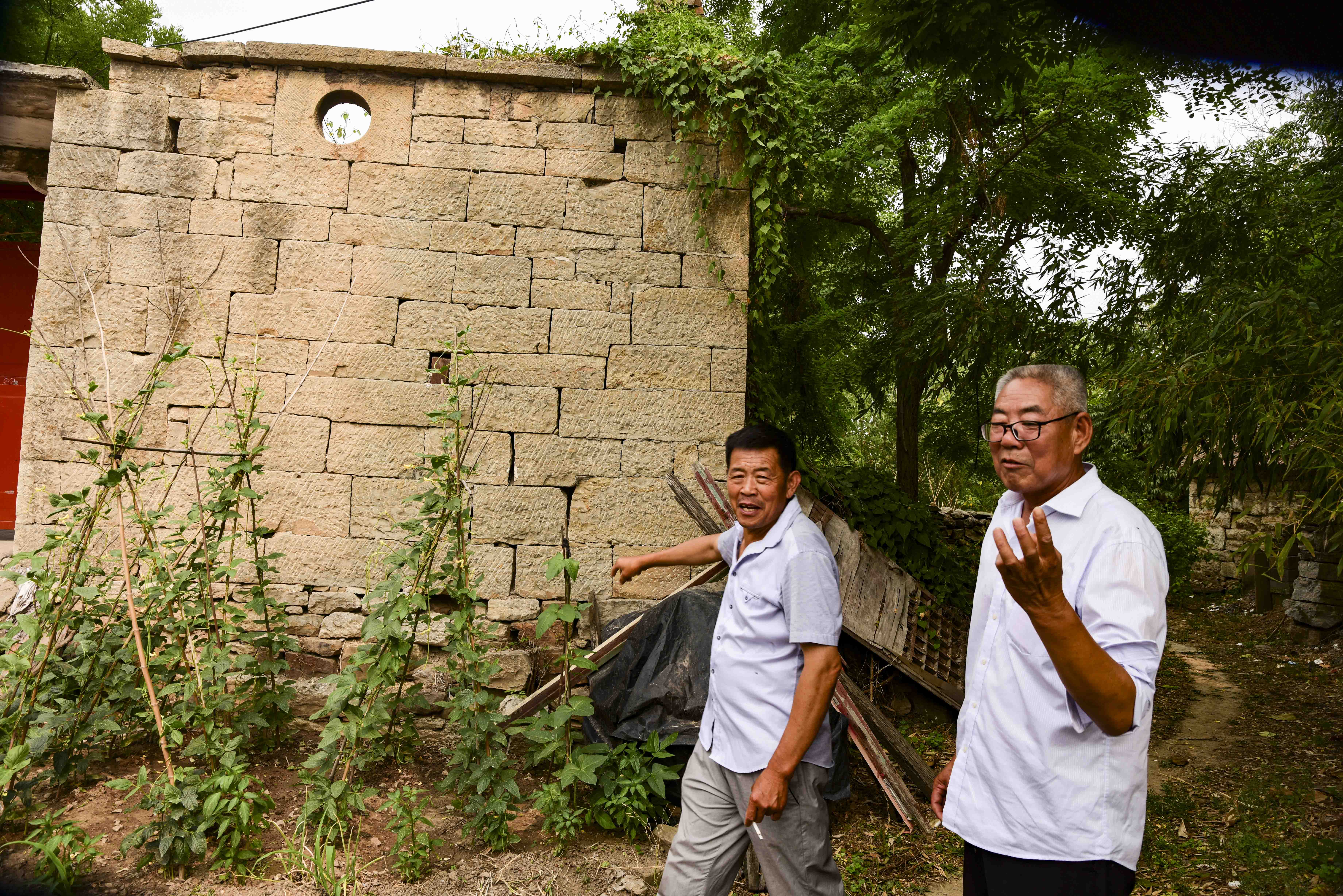 行走在徐州铜山区茅村镇花马庄奇怪的村名唐三彩古老的槐树