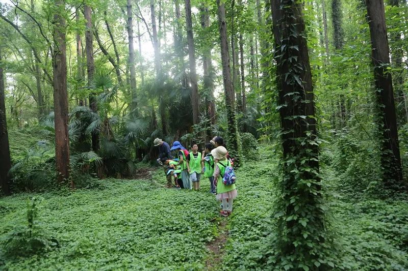 活动回顾 史上最野"大自然探险家"夏令营_森林动物园