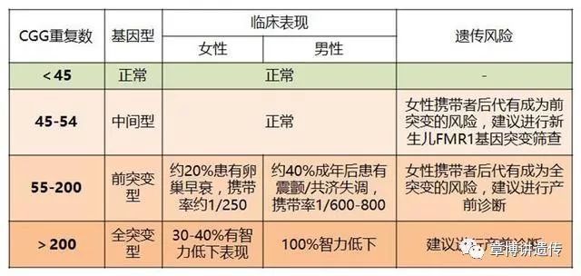 如果dna扭成天津大麻花了会怎么样 讲讲脆性x综合征 生育