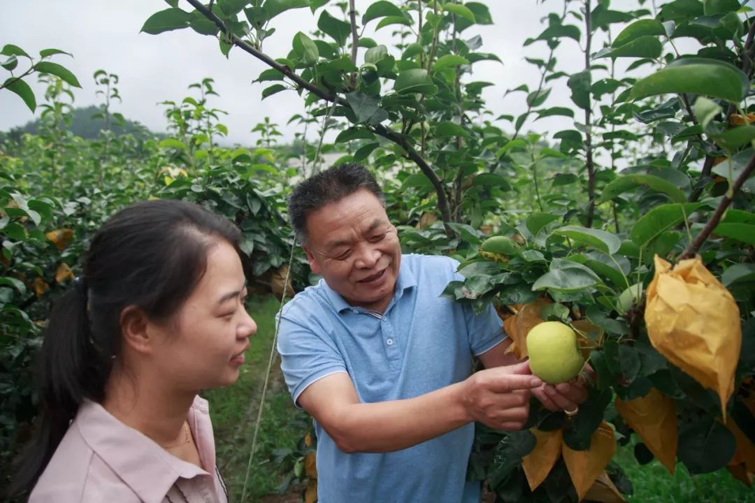 阅金报101明天西溪这个地方热闹非凡吸引大批市民前往好吃还好玩