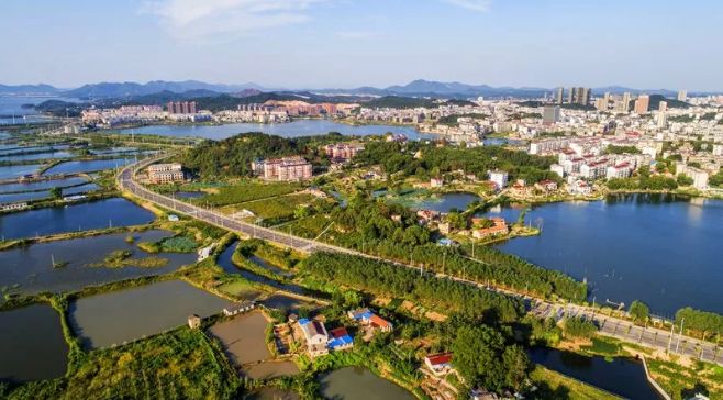 李猛书记前往枞阳县督查重点项目建设和遍访贫困对象 mg电子游戏娱乐