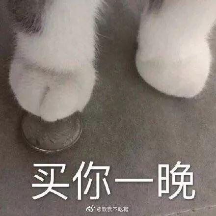 伸手的表情包大全 0f2b797fa640459d86ce96d6fd4d5850.jpeg