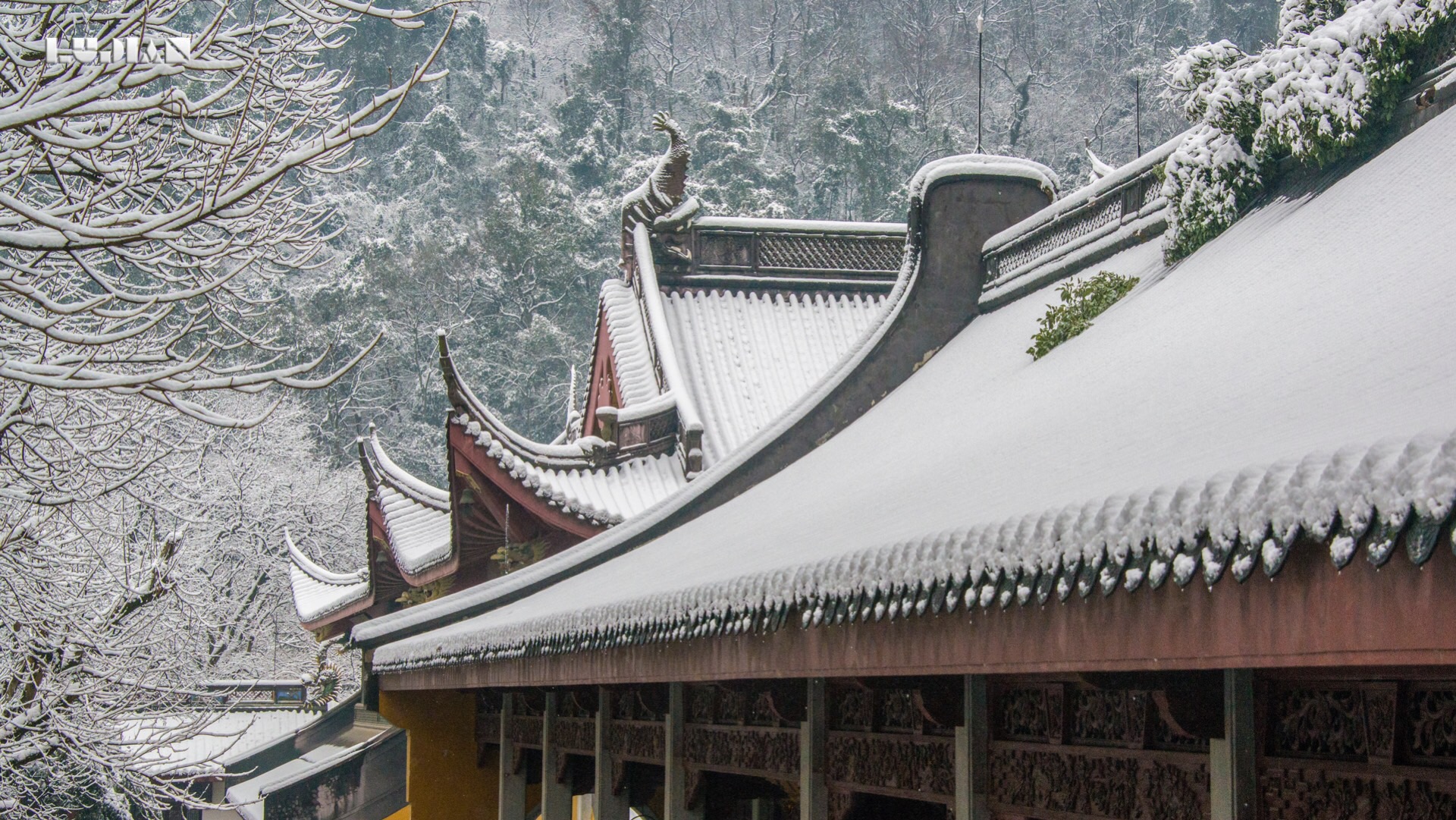 一组灵隐寺的雪景,是不是能让酷暑来得晚一些呢?