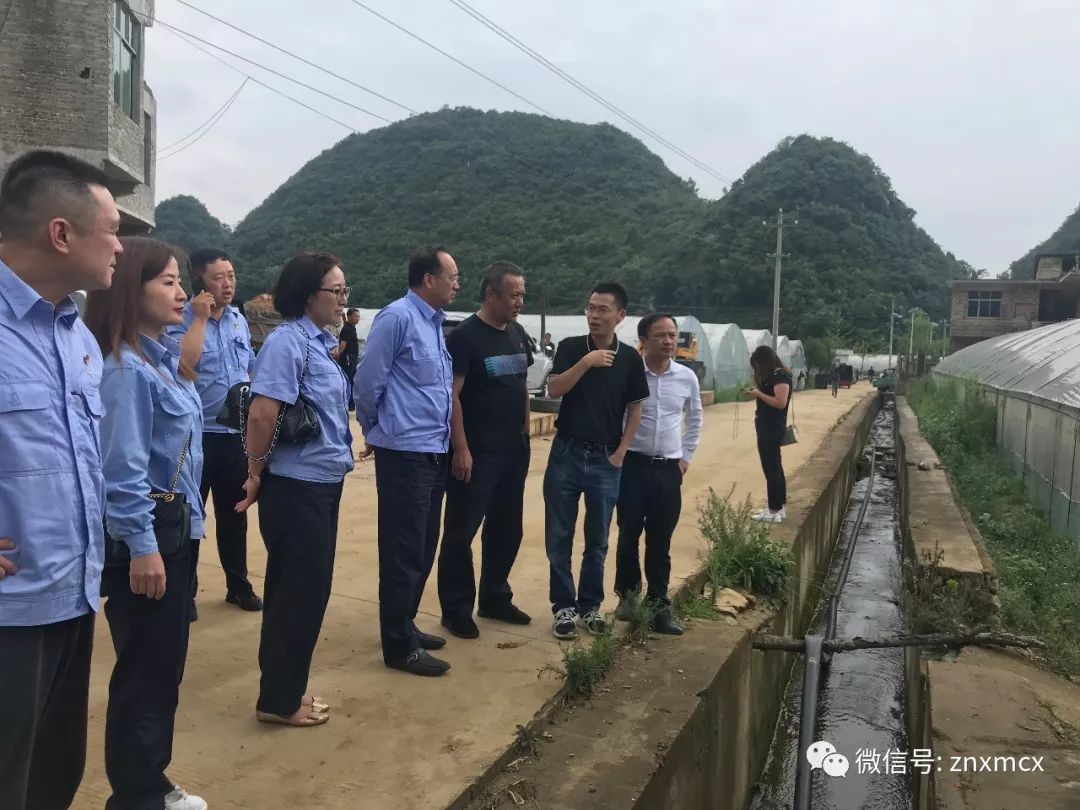 (来源:镇宁县马厂镇人民政府)