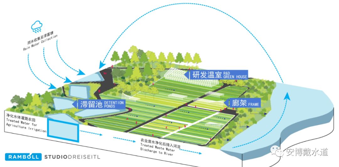 随着可持续的发展和健康的水循环系统,不仅满足了灌溉需求,同时村落的