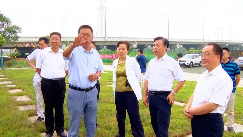 武进生态建设再发力!区长戴士福现场察看生态文明建设