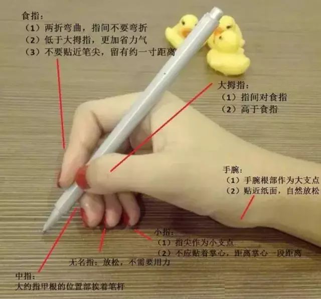 手指/手腕十分耗力等等,从这些特征也能够判断握笔姿势正确与否