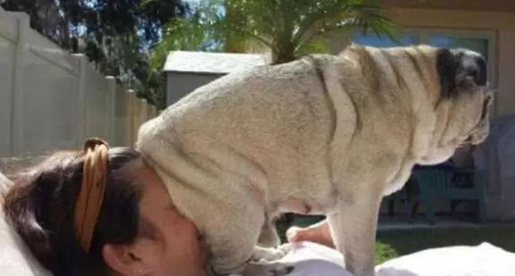 1dbf62088c3f4c9c840dbf982025550c.JPG