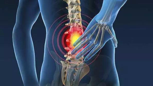 久坐上班族应多练的腰部锻炼动作。动益健身学