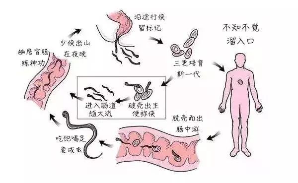 小孩屁股里面痒怎么办