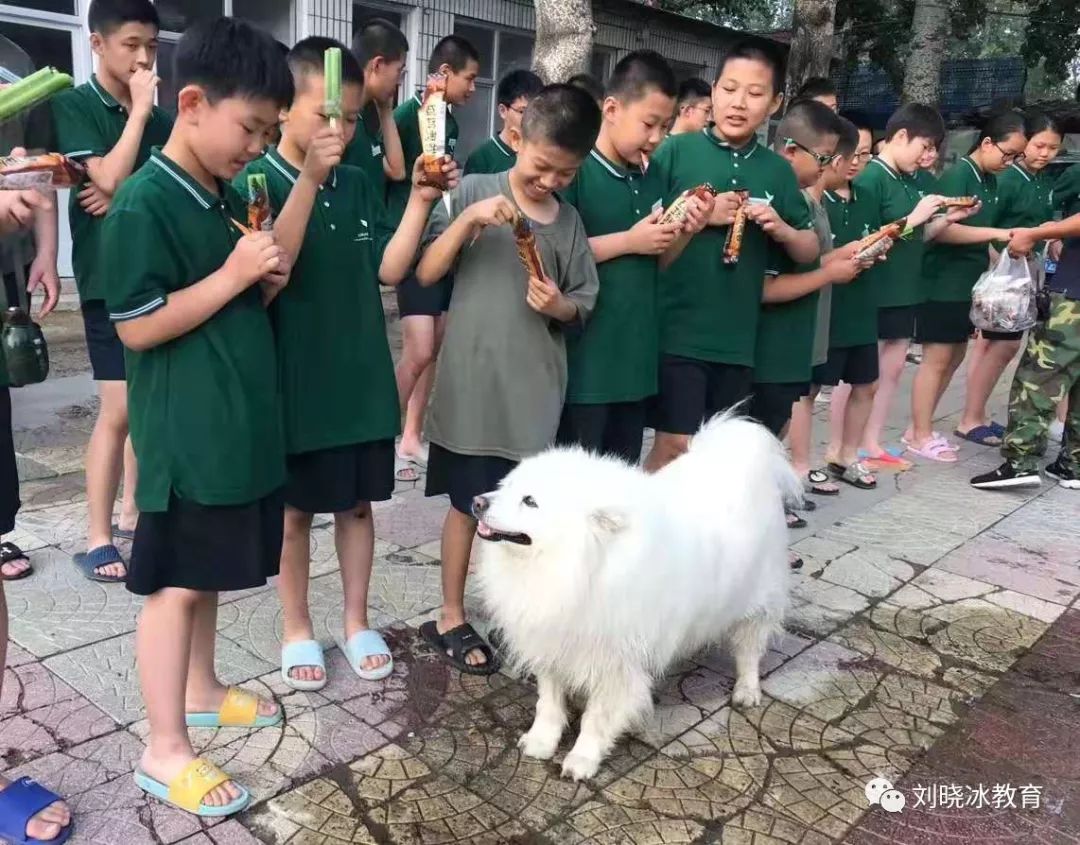 老营员"回家"!