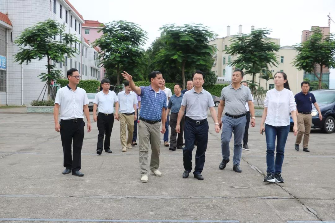 福建省财政厅陈强副厅长一行莅临侨光中学调研