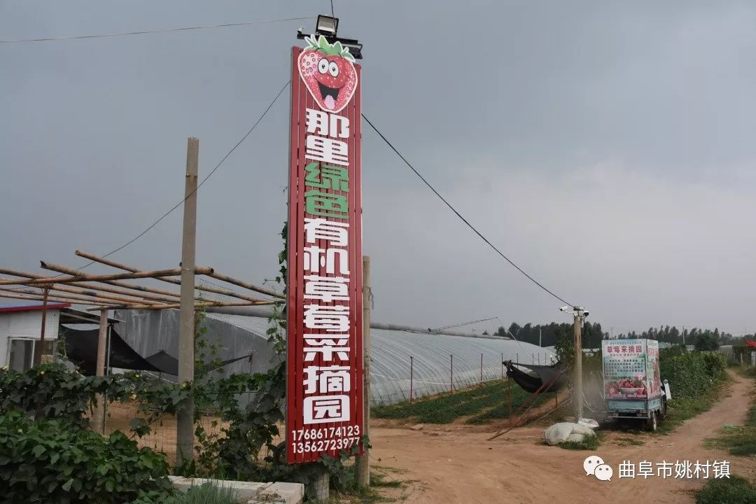 姚村镇经济总量_姚村镇薛村小学图片