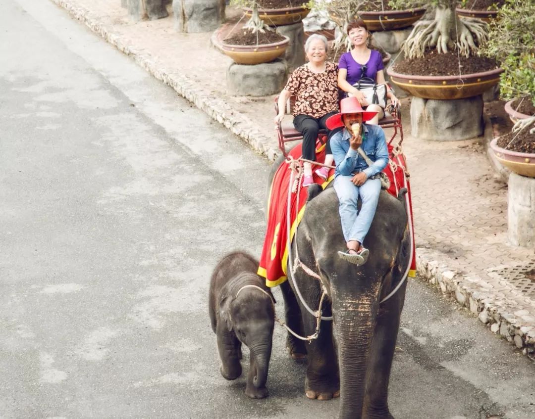 暑期带孩子去哪儿好?来泰国享受亲子游 这是我