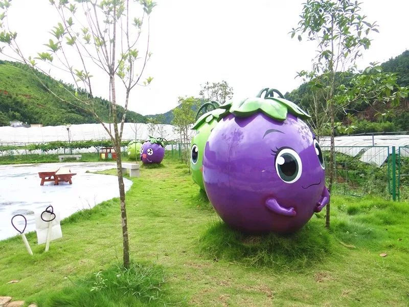 7月12日迪口葡萄风情小镇开园啦走摘葡萄去