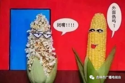 后天入伏,“超长版”三伏你怕不怕 百乐宫娱乐注册