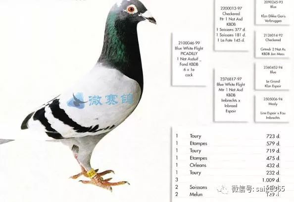 3674edac186444b1a3494b29809274c0.jpeg