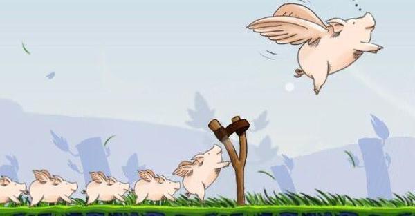 蜗牛人是不是真的存在 3907c0f64311406c8b0bad1ffef8bea3.jpeg