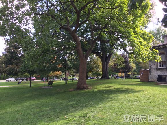 教你如何只花20%的学费念完加拿大大学! 888真人娱乐地址