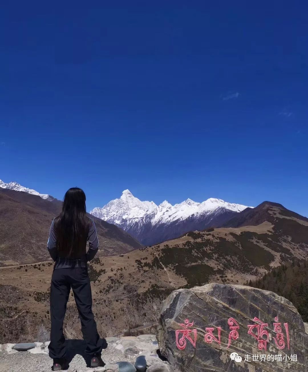 梦境奇缘，龙腾山崖，海中游龙——一场关于勇气与自由的深度解梦