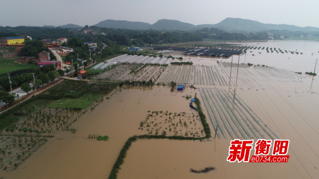 衡东县霞流镇人口数量_衡东县草市镇毛坪小学