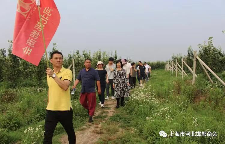 家们播放了临漳宣扬片孙局少足球网上投注站一举动商会企业