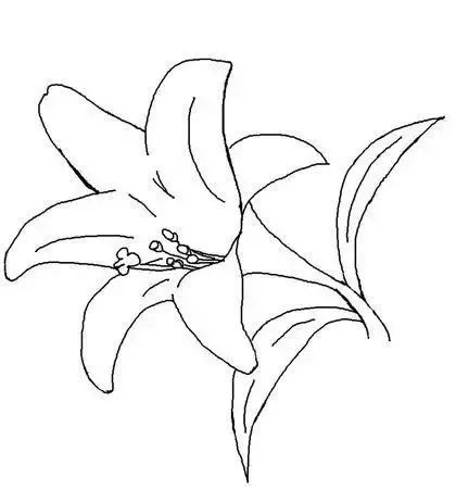 海底动物怎么画简单 49b0e5b4d9ea4d99acd182410559527d.jpeg