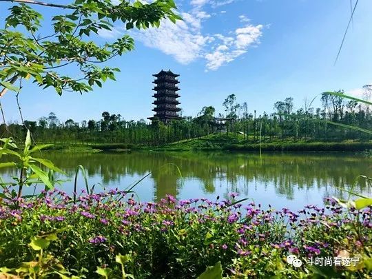 遂宁又一处美景打卡地"上线,12处特色景观等你来赏_龙凤