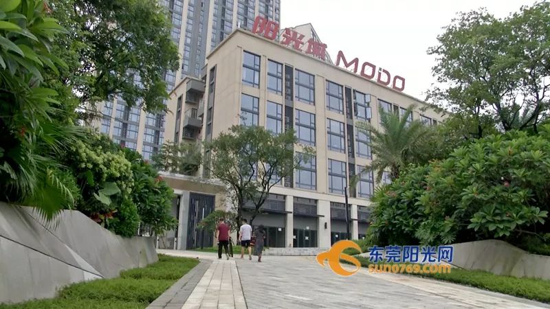 南城阳光城摩都的公寓2018年,东莞的王先生服务费被"偷梁换柱"购房款