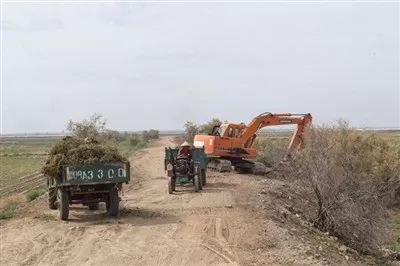 美了美了!天吉泰镇大力整治人居环境,提升乡村“颜值” 澳门皇冠盘口